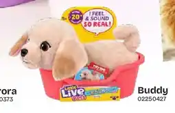 Dreamland My Really Real Puppy Mini Buddy aanbieding
