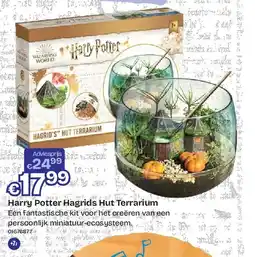 Dreamland st. Harry Potter Hagrids Hut Terrarium aanbieding