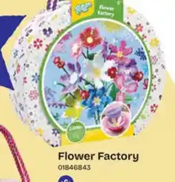 Dreamland Flower Factory aanbieding