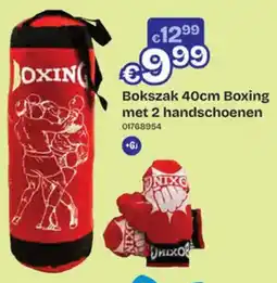 Dreamland Bokszak Boxing met 2 handschoenen aanbieding
