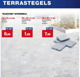 Hubo Terrastegels Bluestone Getrommeld aanbieding
