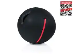 Decathlon Office Ball - 75 cm - Met Online Trainingsvideo's aanbieding