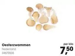 Hanos Oesterzwammen aanbieding