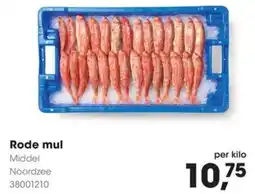 Hanos Rode mul aanbieding