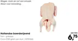 Hanos Hollandse boerderijeend aanbieding