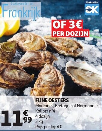 Fijne Oesters