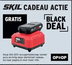GAMMA SKIL CADEAU ACTIE aanbieding