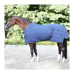 Decathlon Paardendeken Kavalkade Calgary 100g aanbieding