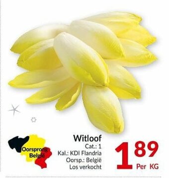 Witloof