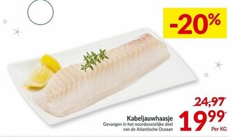 Intermarché Kabeljauwhaasje aanbieding