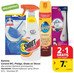 Carrefour Gamma Canard WC, Pledge, Glade en Shout aanbieding