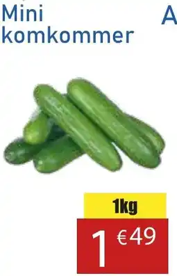 Tanger Markt Mini komkommer aanbieding