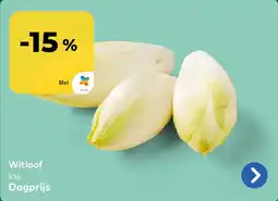 Bio Planet Witloof aanbieding
