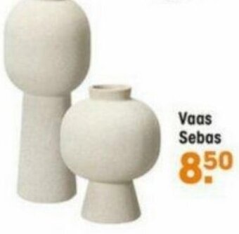 Kwantum Vaas Sebas aanbieding
