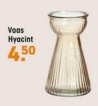 Kwantum Vaas Hyacint aanbieding