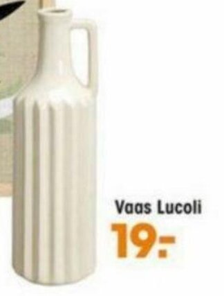 Kwantum Vaas Lucoli aanbieding