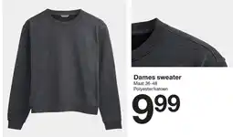 Zeeman Dames sweater aanbieding