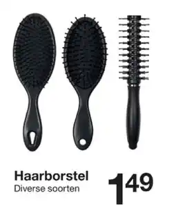 Zeeman Haarborstel aanbieding