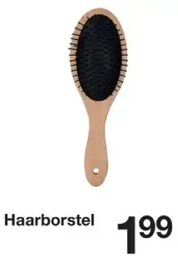 Zeeman Haarborstel aanbieding