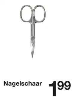 Zeeman Nagelschaar aanbieding