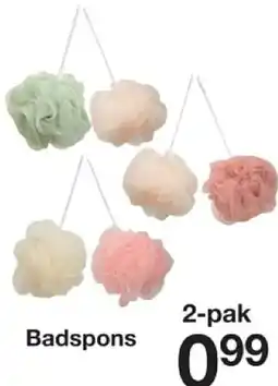 Zeeman Badspons aanbieding