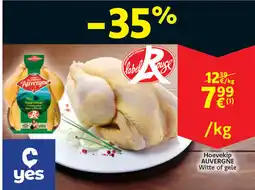 Cora Hoevekip auvergne witte of gele aanbieding