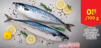 Cora Makreel aanbieding