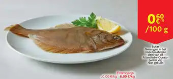 Cora Schar aanbieding