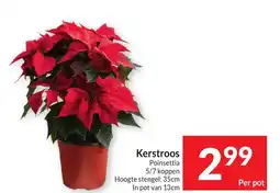 Intermarché Kerstroos aanbieding
