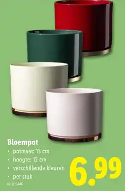 Lidl Bloempot aanbieding