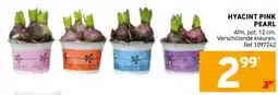 Trafic Hyacint pink pearl aanbieding
