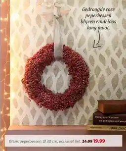 Intratuin Krans Peperbessen aanbieding