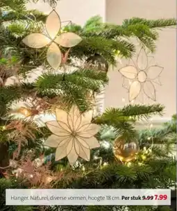Intratuin Hanger Naturel aanbieding