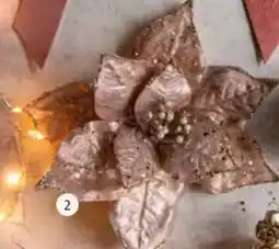 Intratuin Bloem of Vlinder aanbieding