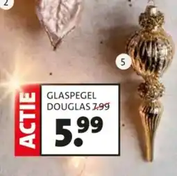 Intratuin Glaspegel Douglas aanbieding
