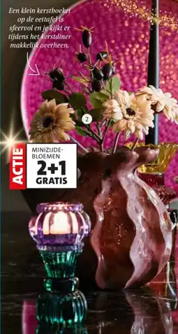 Intratuin Minizijdebloemen aanbieding