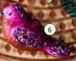 Intratuin Ornament vogel aanbieding