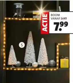 Intratuin Boom aanbieding