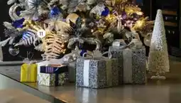 Intratuin Kunsttak varen aanbieding