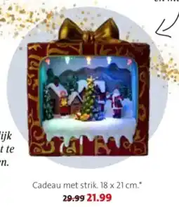 Intratuin Cadeau met strik aanbieding