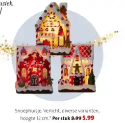 Intratuin Snoephuisje aanbieding