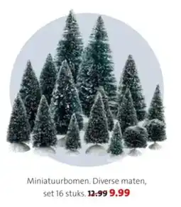 Intratuin Miniatuurbomen aanbieding