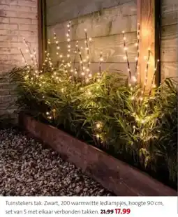 Intratuin Tuinstekers tak aanbieding