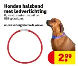 Kruidvat Honden halsband met ledverlichting aanbieding