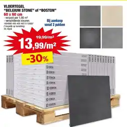 Hubo VLOERTEGEL BELGIUM STONE of BOSTON aanbieding