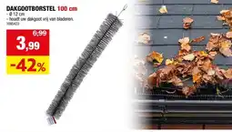 Hubo Dakgootborstel 100x12 cm aanbieding