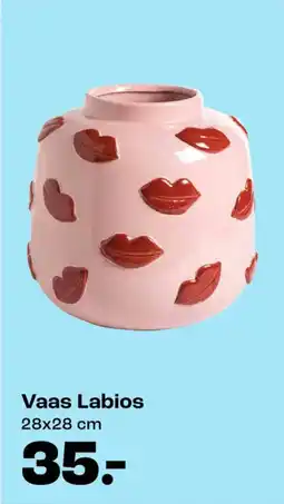 Kwantum Vaas Labios aanbieding