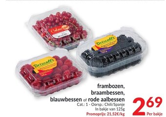 Frambozen, braambessen, blauwbessen of rode aalbessen