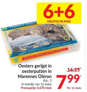 Intermarché Oesters gerijpt in oesterputten in Marennes Oleron aanbieding