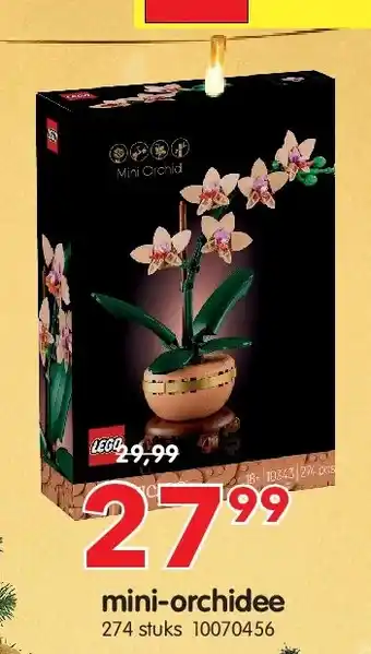 Yess mini-orchidee aanbieding